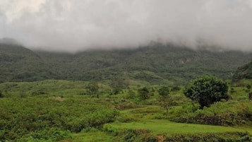 Vistas a la montaña