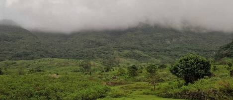 山景