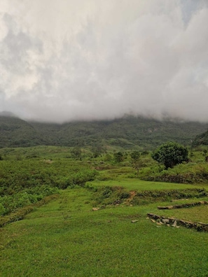Mountain view - Aruni Villa - Knuckels Range (Gomara)