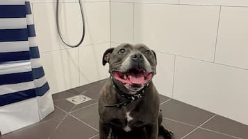 Ein Hund sitzt auf einem Fliesenboden in einem Badezimmer mit weißen Fliesen und einer Dusche.