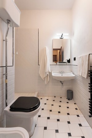 Shower, hair dryer, bidet, towels