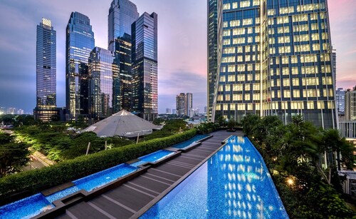 Discovery SCBD