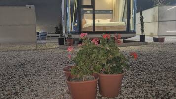 Una habitación moderna con paredes de vidrio, una cama y un ventanal, rodeada de grava y plantas en macetas.