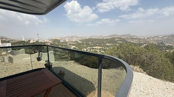 Junior-Suite, 1 King-Bett, Parkblick | Terrasse/Patio