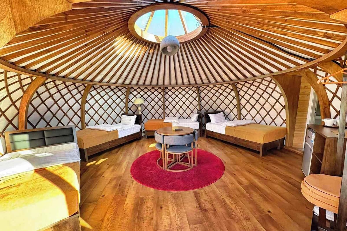 Quadruple Room, Mountain View