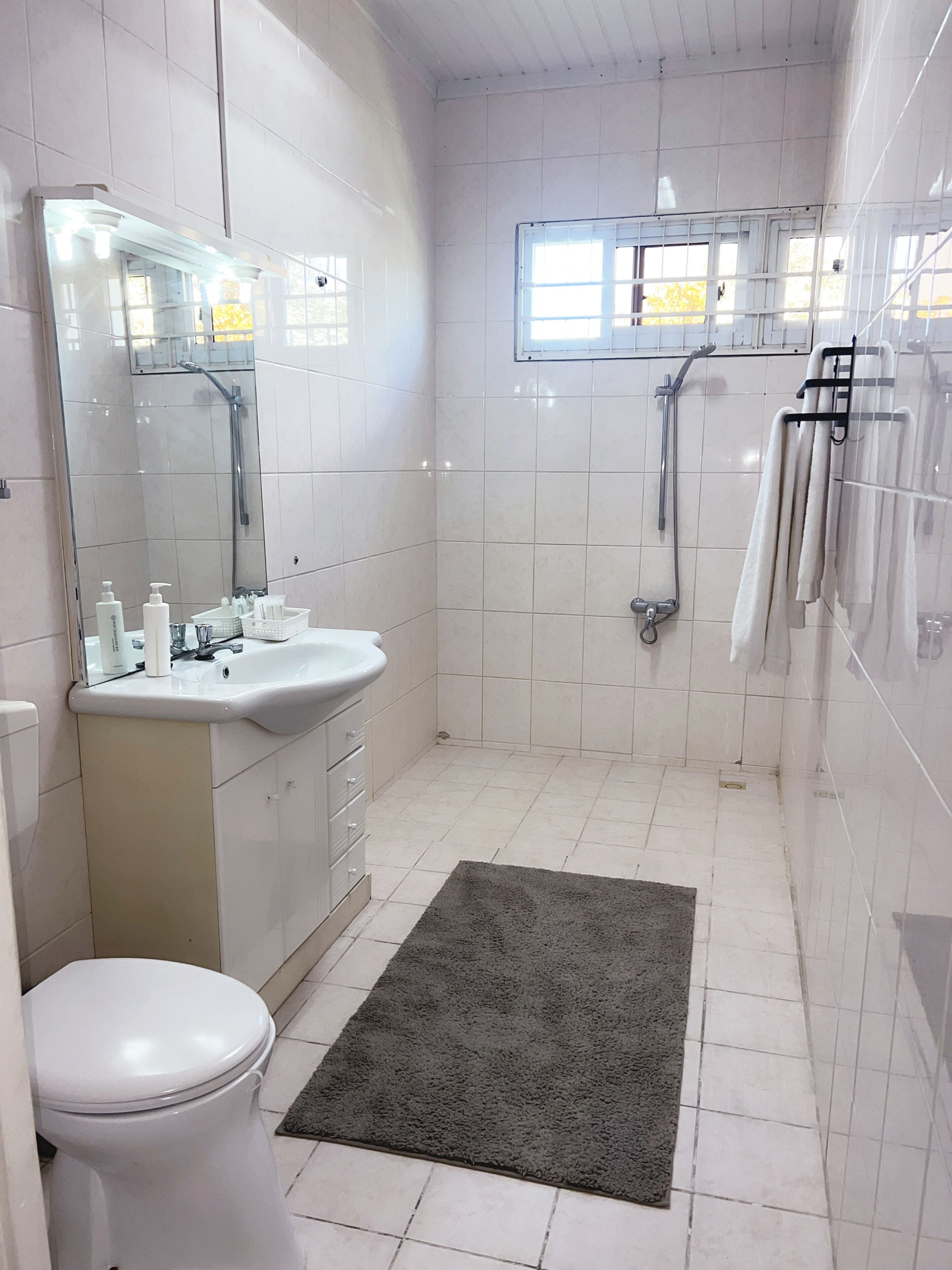 Serviettes fournies, savon, papier toilette
