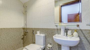 Shower, hair dryer, bidet, towels