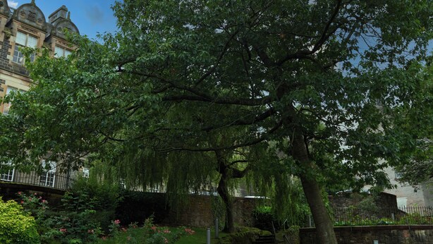 A park with a large tree, a bench, and a staircase leading up to a building. - Modern, Stylish Flat on Baker Street — 5 mins walk to Stirling Castle (Stirling)