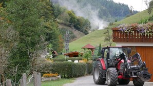 Ländliche Szenerie mit Kiesweg, einem roten Traktor und einem Holzhaus mit rotem Dach.