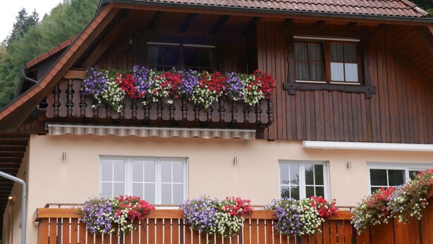 Eine Holzhütte mit geneigtem Dach, einem Balkon mit Blumenkästen und einem Fenster mit Vorhängen.