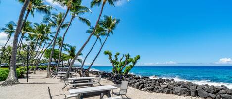 公寓客房, 1 間臥室 | 海灘