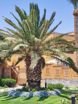 Apartment, 2 Bedrooms, Smoking, Balcony | Property grounds