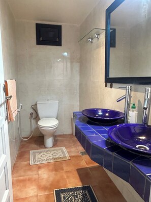 Shower, hair dryer, bidet, towels