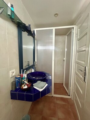 Shower, hair dryer, bidet, towels