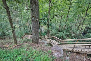 A wooden staircase surrounded by dense forest.