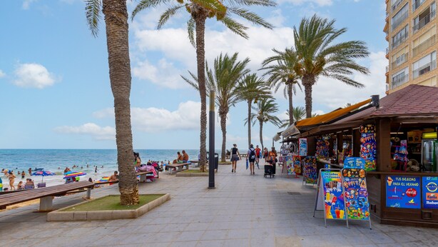 A beachside promenade with palm trees, a beach in the background, and a kiosk selling beach-related items. - Penthouse Morning Star by Fidalsa (Torrevieja)