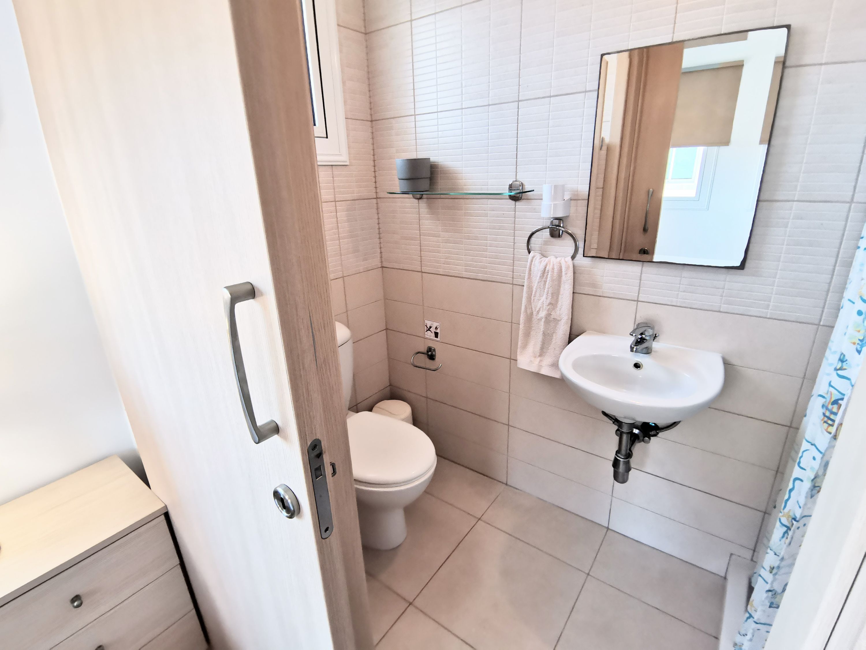 A bathroom with a toilet, sink, and mirror.