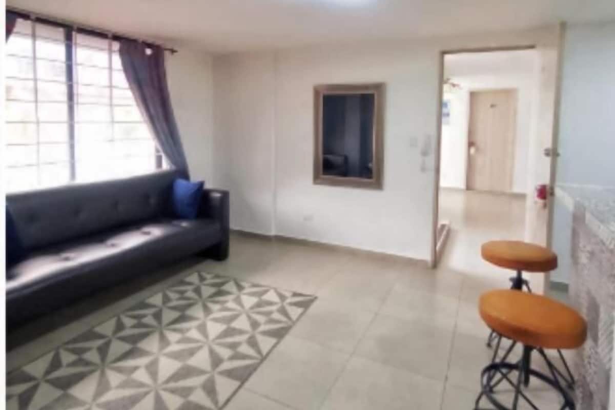 A living room with a sofa, a patterned rug, and a door leading to another room.