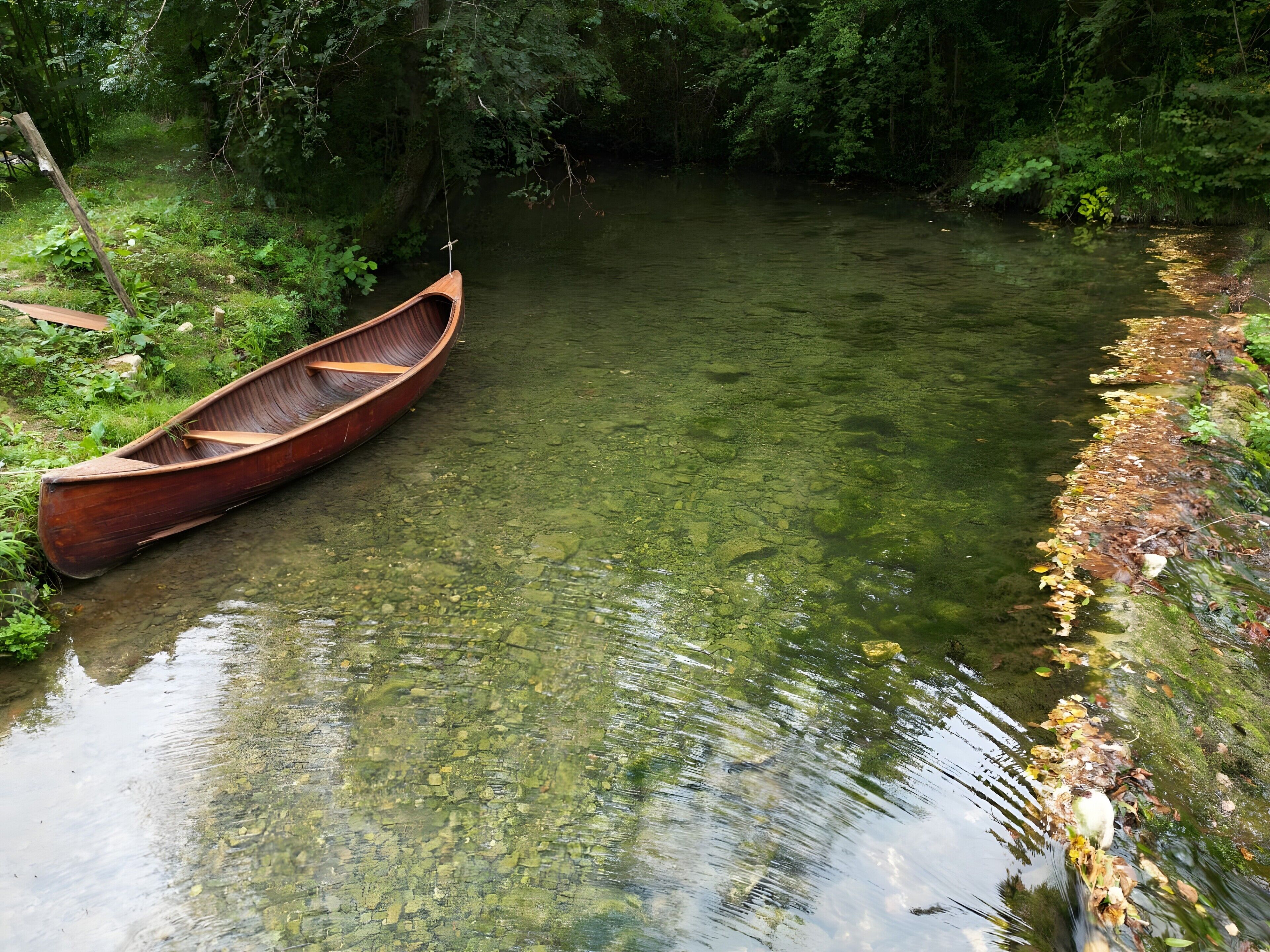 A wooden canoe tied to a dock in a clear river surrounded by dense greenery.