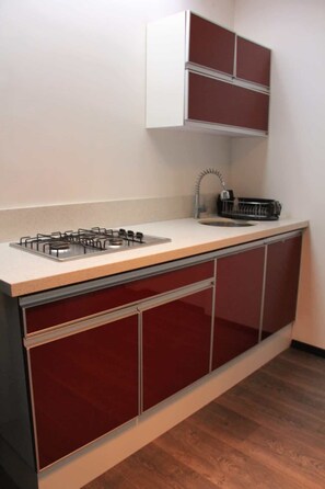 Jääkaappi, mikroaaltouuni, liesi, keittoastiat/astiat/ruokailuvälineet