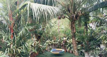 Two Bedroom Camiguin Vacation House Retreat on Mambajao near all perks