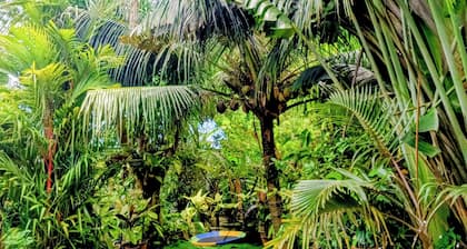 Two Bedroom Camiguin Vacation House Retreat on Mambajao near all perks