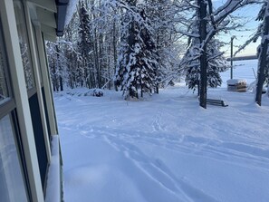 A snowy landscape with trees and a stack of firewood.