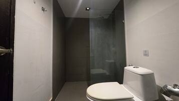 Shower, hair dryer, towels, toilet paper