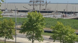 A marina with several boats docked, a large sailing ship in the background, and a grassy area with trees in the foreground.