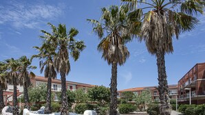 A courtyard with palm trees, a tiled walkway, and buildings with red roofs. - Les Demeures de la Massane ST6C (Argeles-sur-Mer)