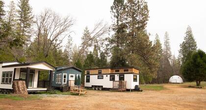 Tiny ONE at Yosemite Gateway