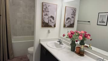 Hair dryer, bidet, towels, soap