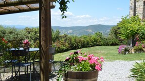 A patio with a table and chairs, surrounded by a garden with a view of distant hills.