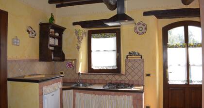 Bellavista Farmhouse between Mount Amiata and Val d'Orcia - Lecci Apartment