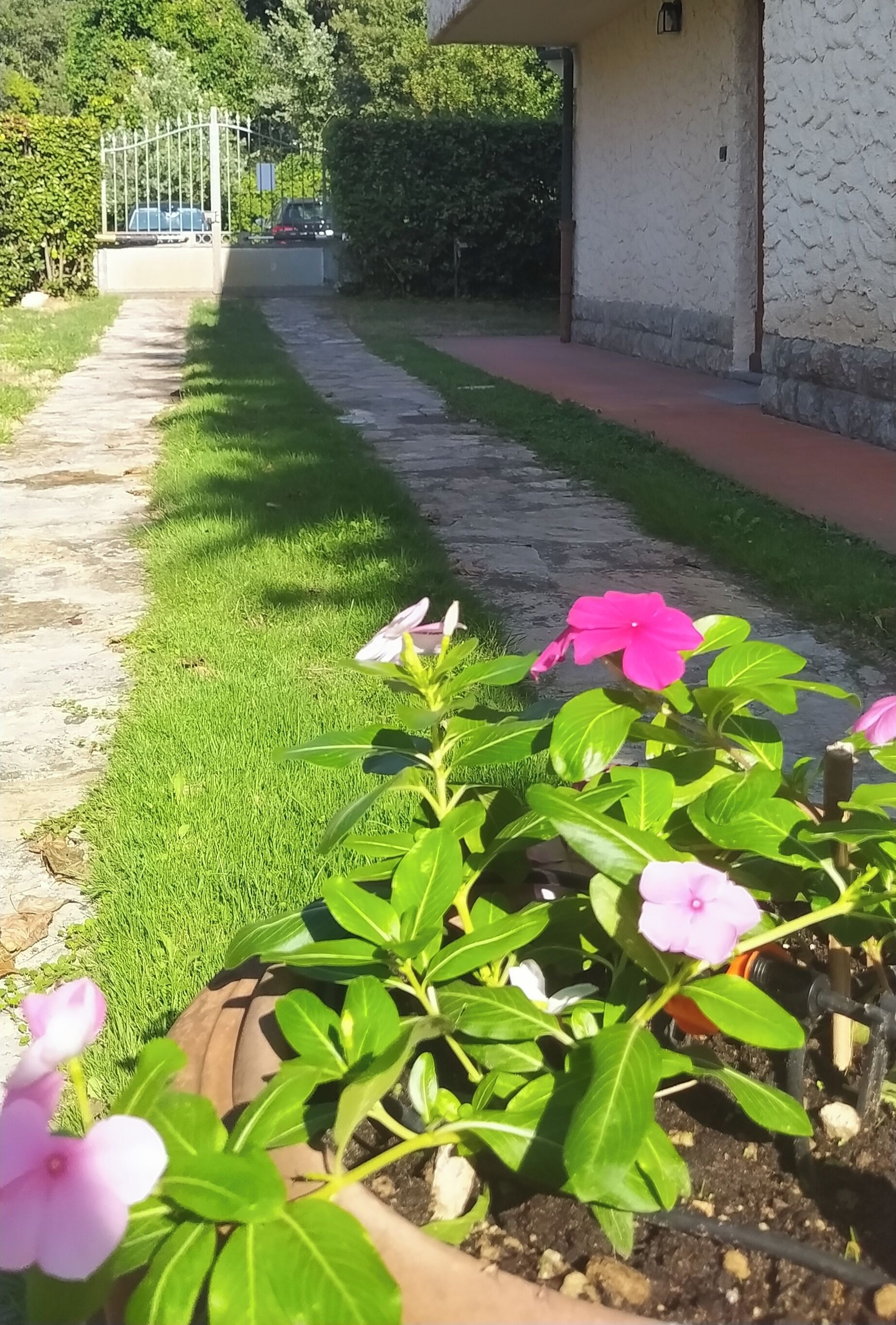 Un camino que lleva a un edificio de fachada blanca y entrada porticada.