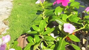 外观细节