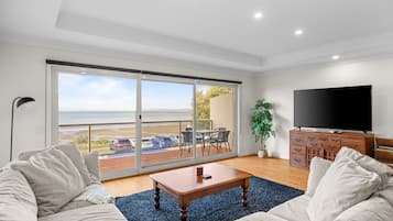 TV, DVD player, books