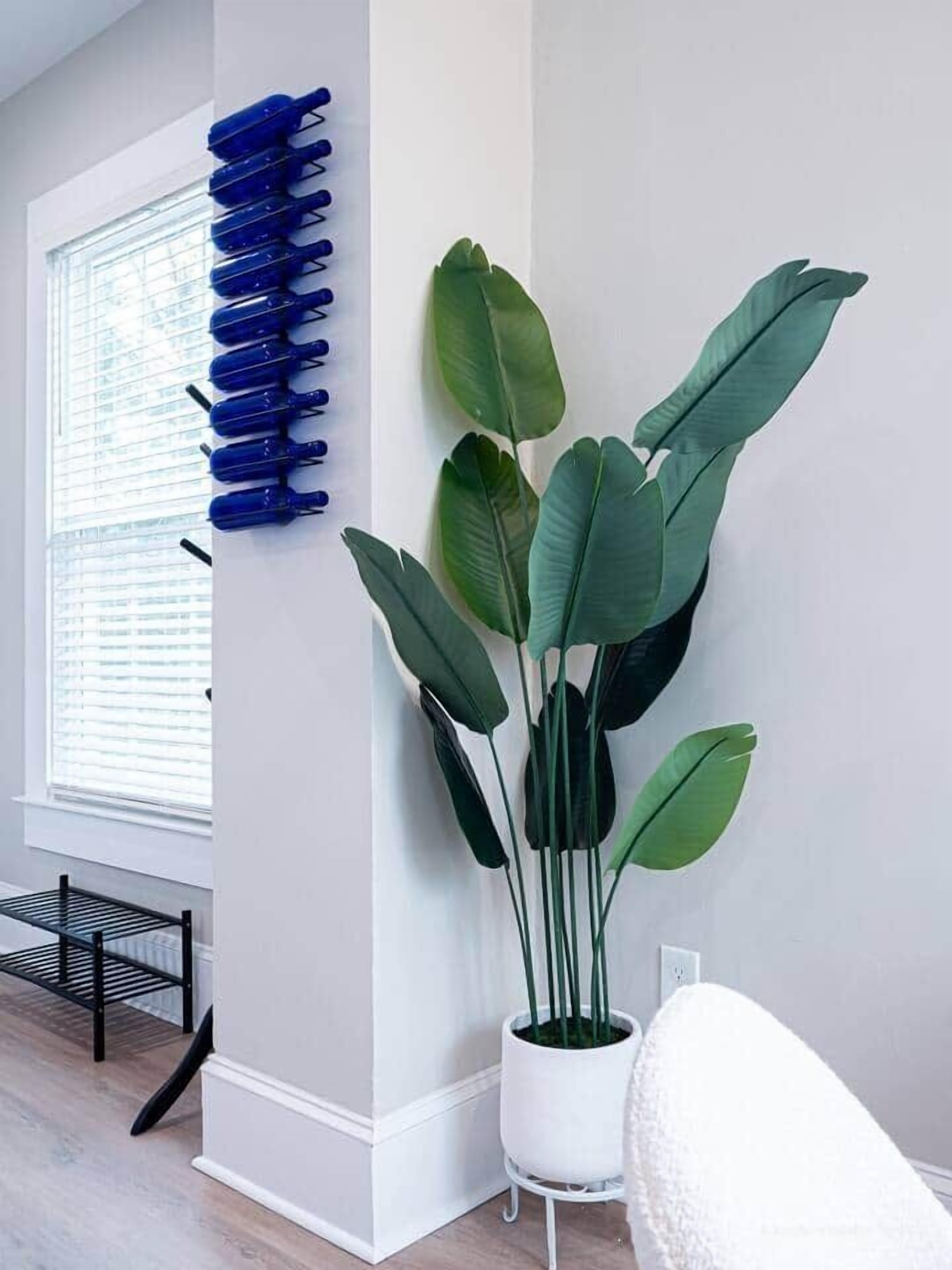 Una habitación con un ventanal grande, un estante metálico negro, una silla blanca y una planta en maceta con hojas verdes grandes.