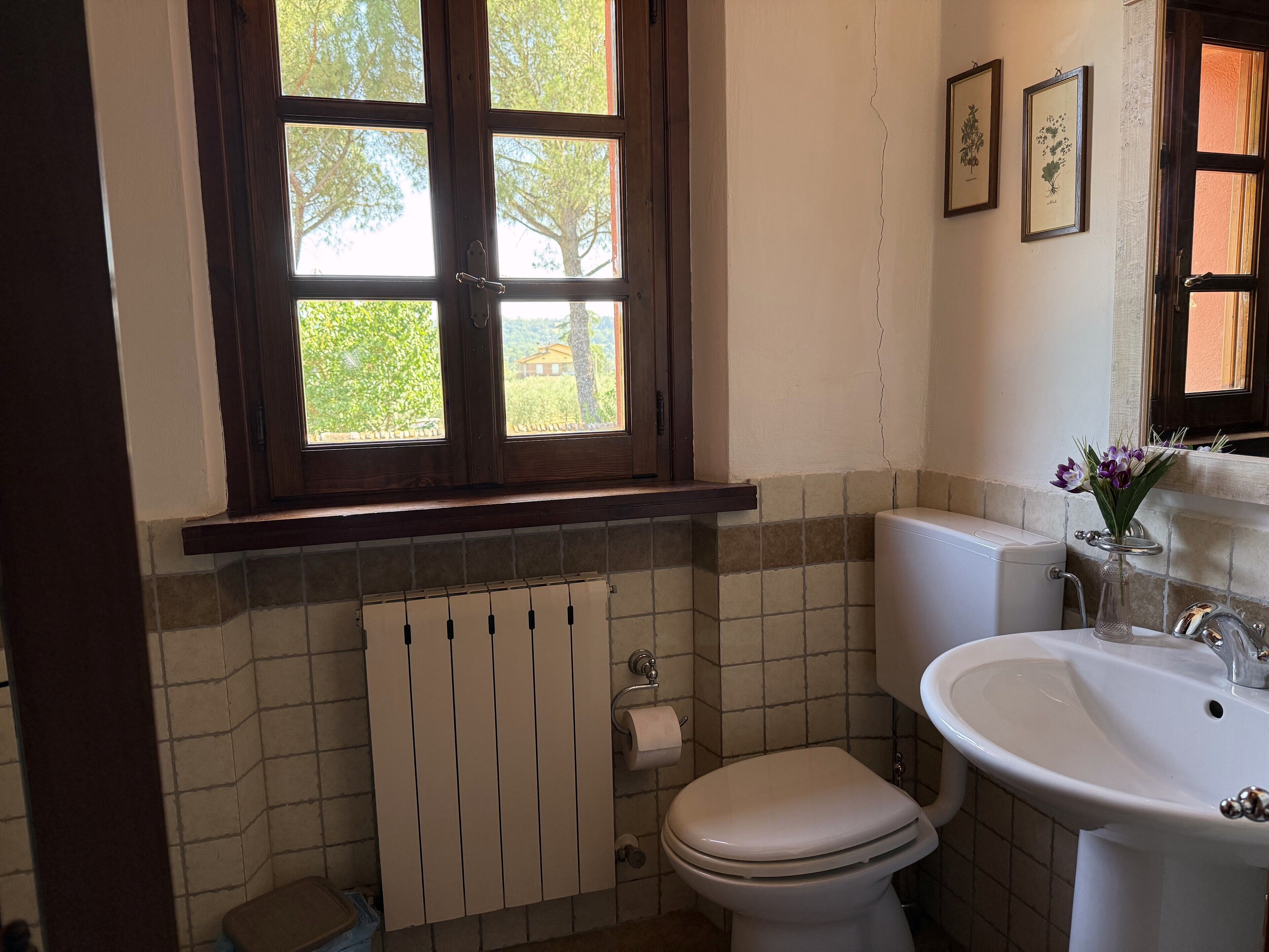 A bathroom with a toilet, sink, and window.