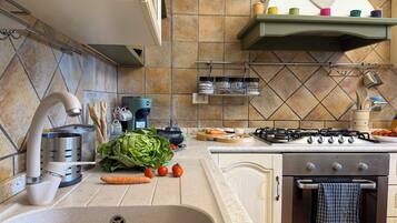 Kühlschrank, Ofen, Herdplatte, Geschirrspüler