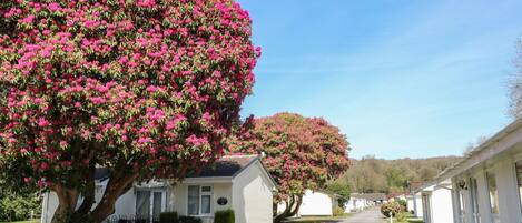 Terrain de lâhĂ©bergement
