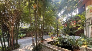 Ein Garten mit Palmen, einem Kiesweg und Kübelpflanzen.