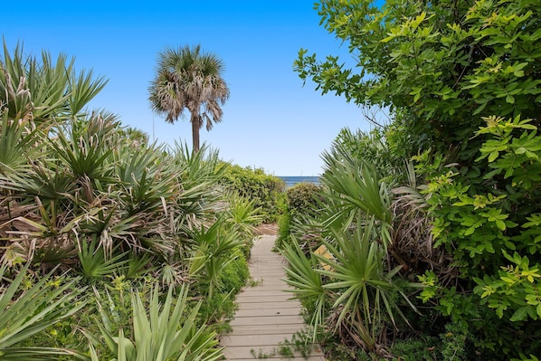 House, Multiple Beds (Sea Dunes Green Turtle A3) | Property grounds