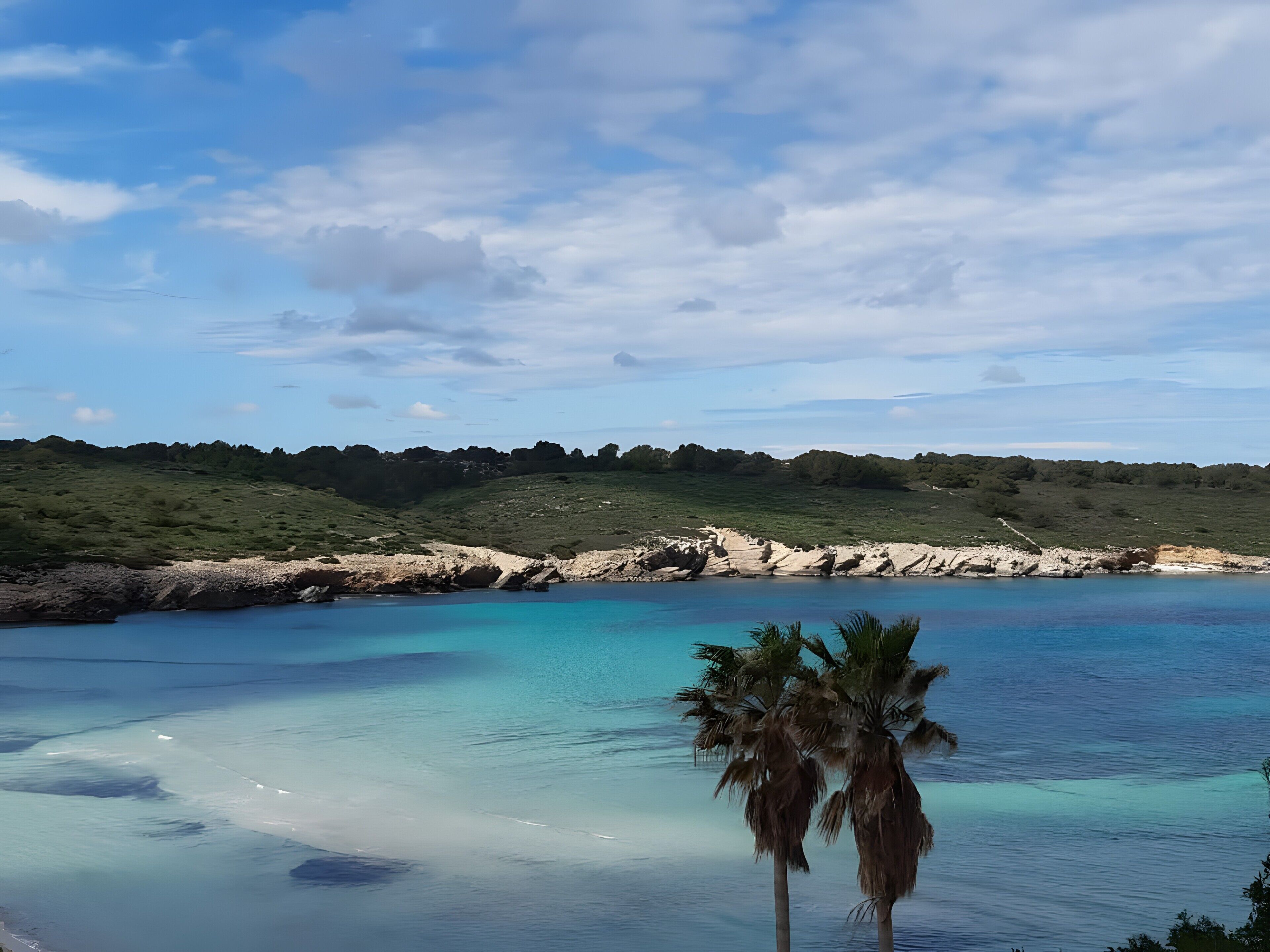 Un paisaje costero con aguas turquesas cristalinas, una playa de arena y una palmera.