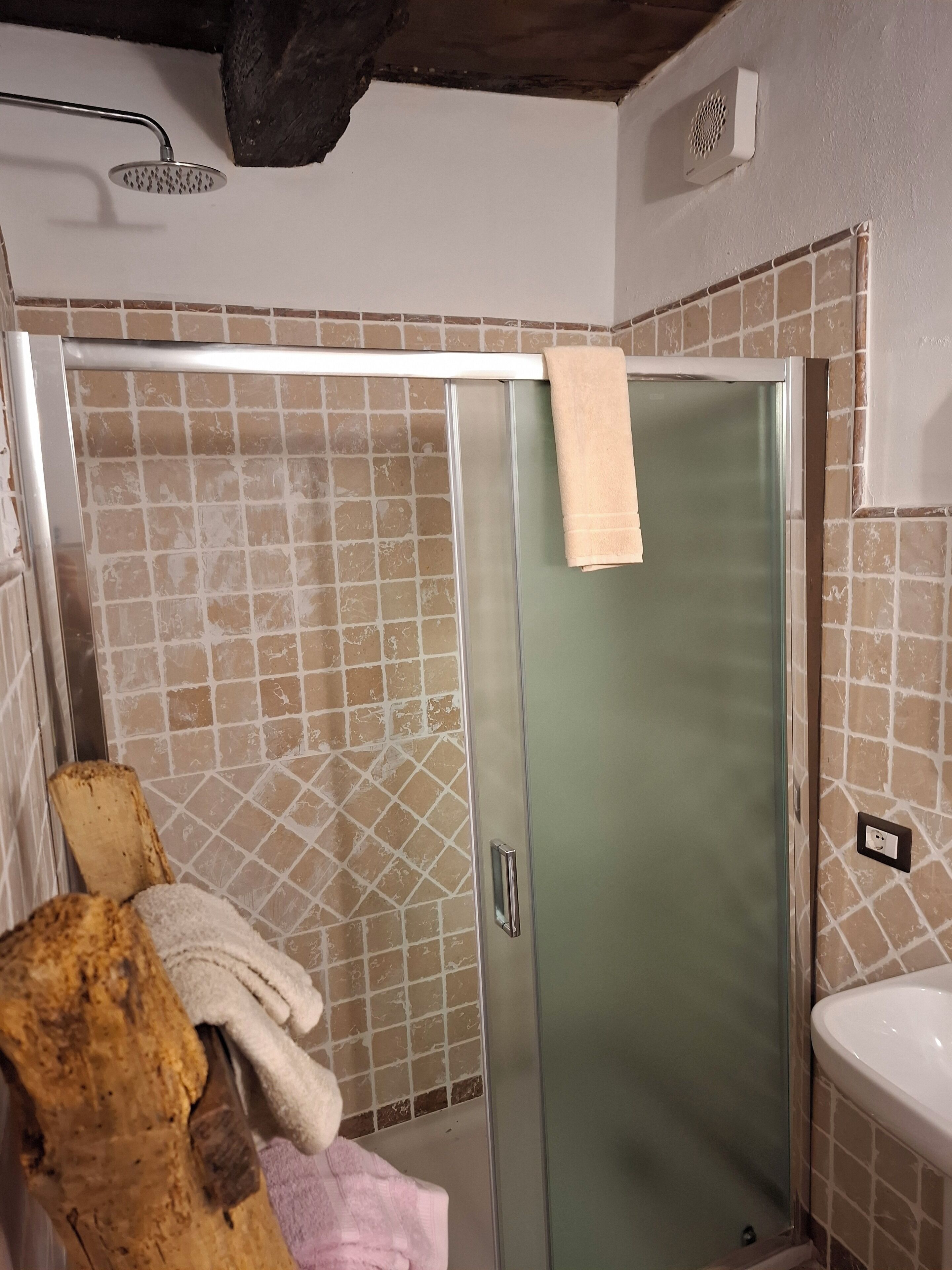 Shower, bidet, towels, soap