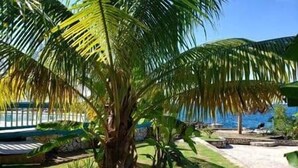 Una palmera en un área ajardinada con piscina y vistas al mar.