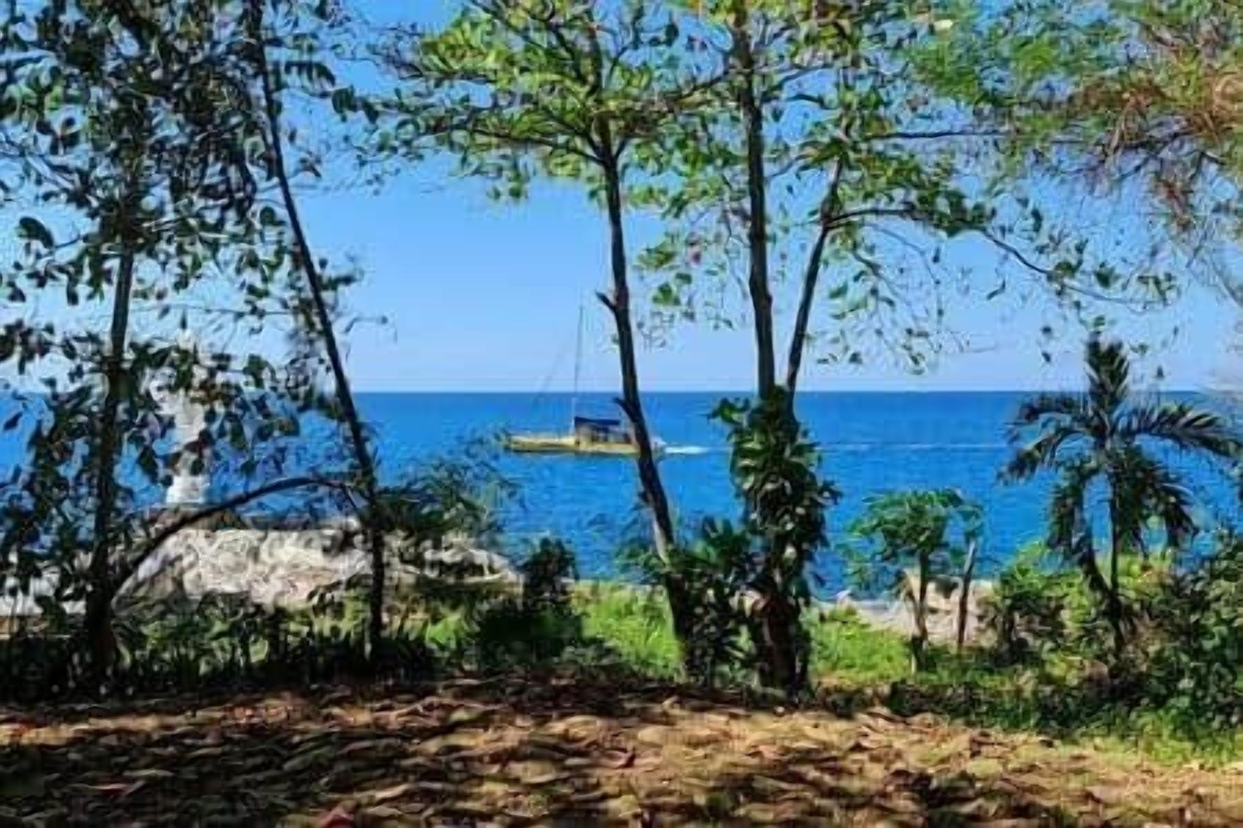 A coastal landscape with trees and a boat in the distance.