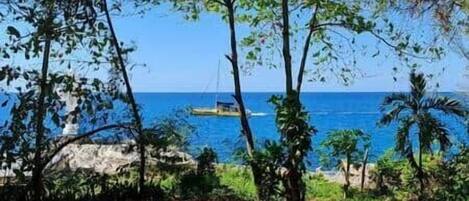 A coastal landscape with trees and a boat in the distance.