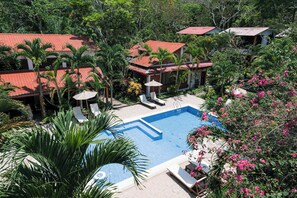 A pool area with lounge chairs and umbrellas, surrounded by palm trees and a building with a red roof. - Villa Lu Amazon Lodge (Tarapoto)