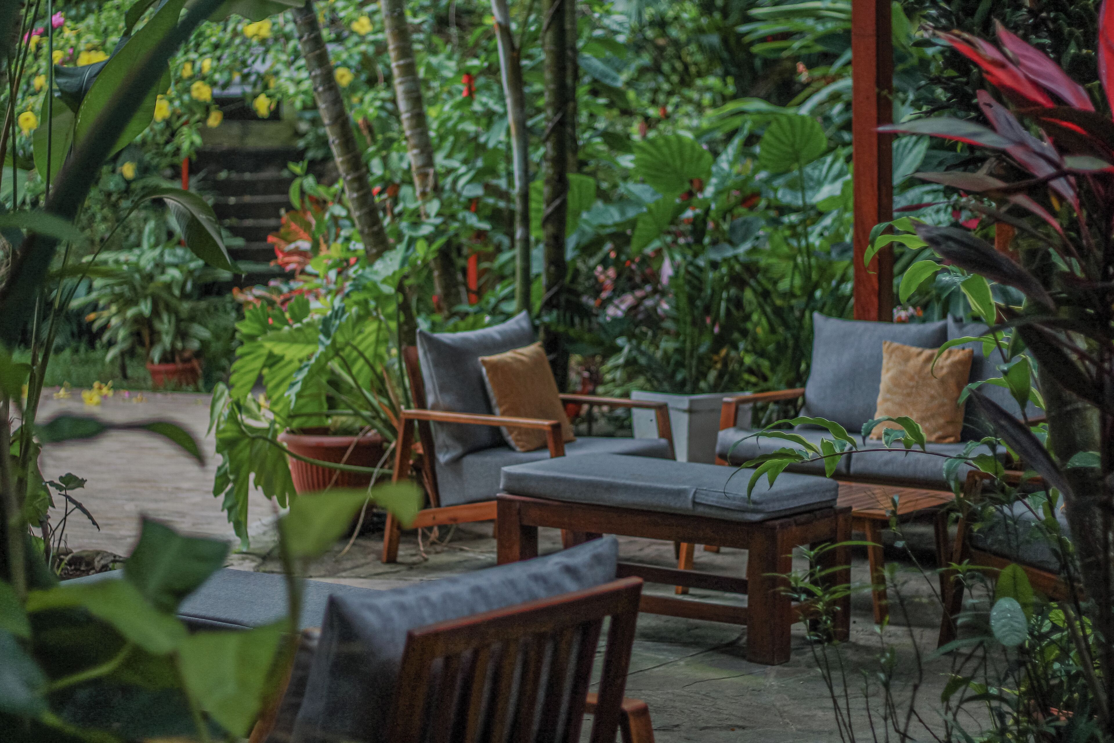 An outdoor seating area with wooden furniture and a table, surrounded by lush greenery and plants.